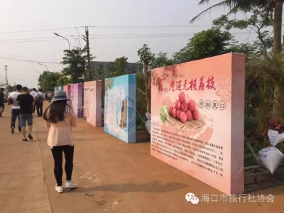 海口市旅行社協會組織近30家旅行社走進澄邁踩線