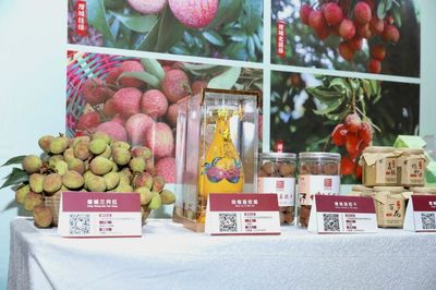 廣州荔枝采摘上市,今年將有巨美人、無核、嶺豐糯等新品種