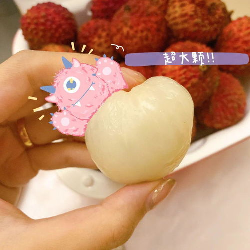 荔枝飲品大測評,即刻擁有初夏快樂 丨xx玩樂團(tuán)