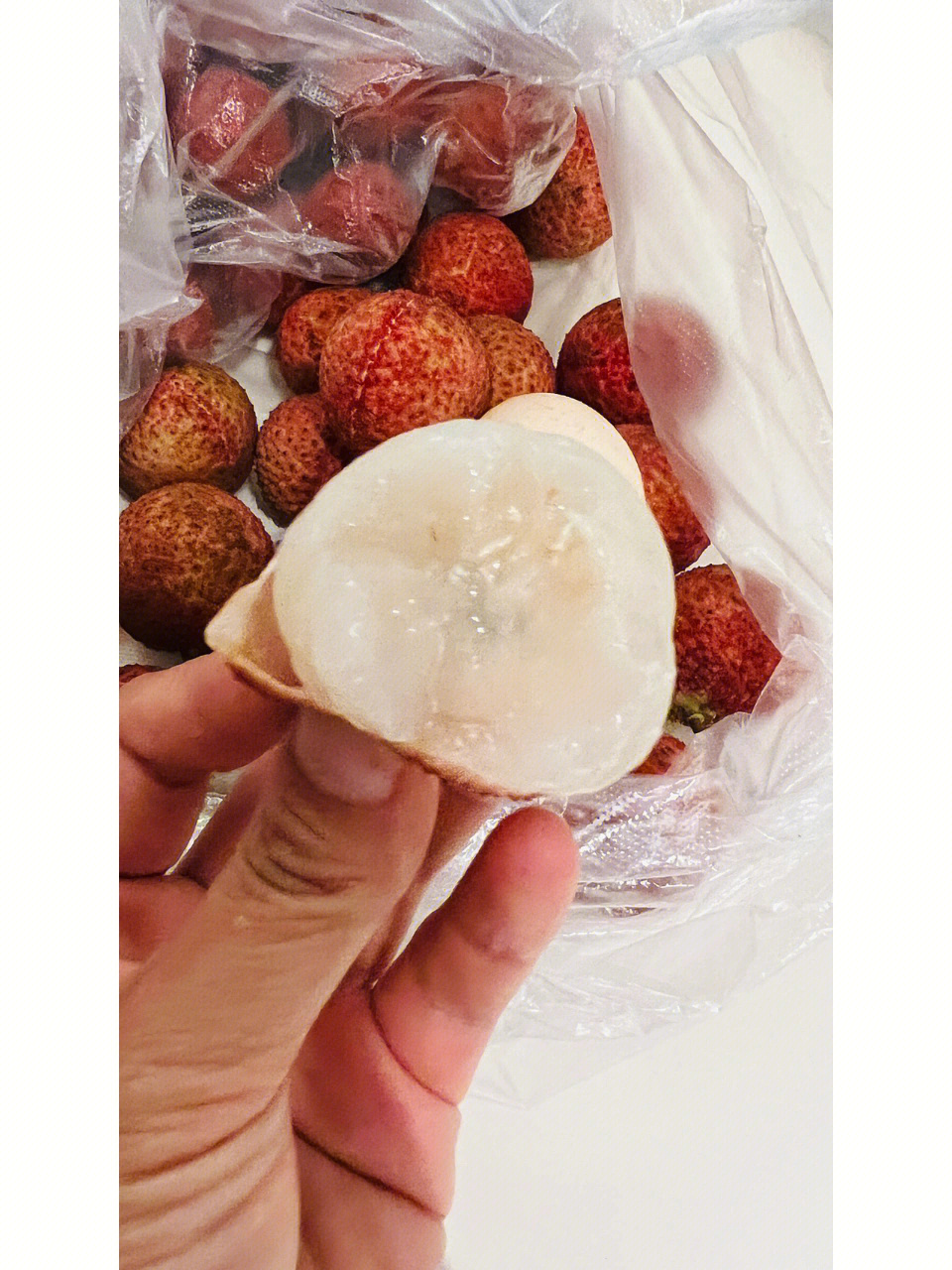 貢園無核荔枝來自靈山百年荔枝園