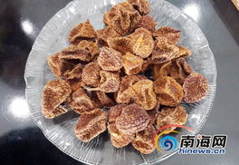 陸僑珍稀無(wú)核荔枝干將首次亮相海南第一年貨展