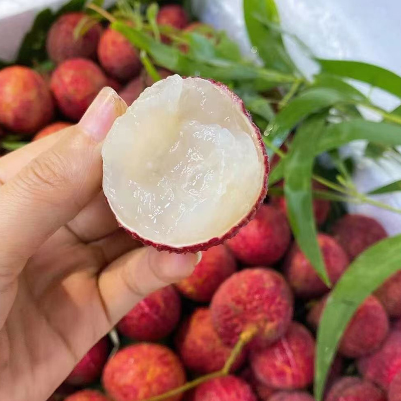 順豐包郵 海南無(wú)核荔枝 當(dāng)季新鮮孕婦水果