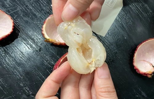 熱門(mén)荔枝大測(cè)評(píng) 無(wú)核荔枝來(lái)報(bào)恩了